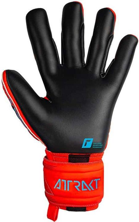Produktbild Reusch Torwarthandschuh Attrakt Gold X (8)