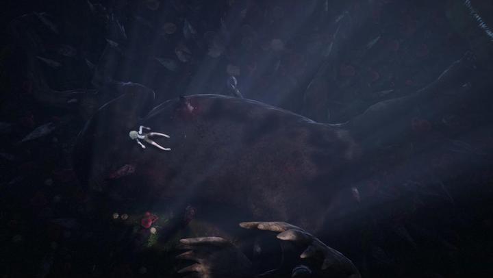 Produktbild Merge Games Bramble The Mountain King PS-5 (PS5, DE)