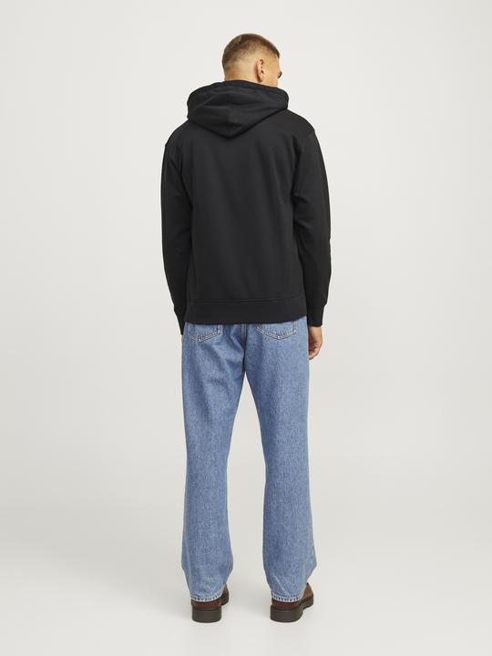 Actual product image Jack & Jones Jorportland Block Sweat Hood Ln (S)