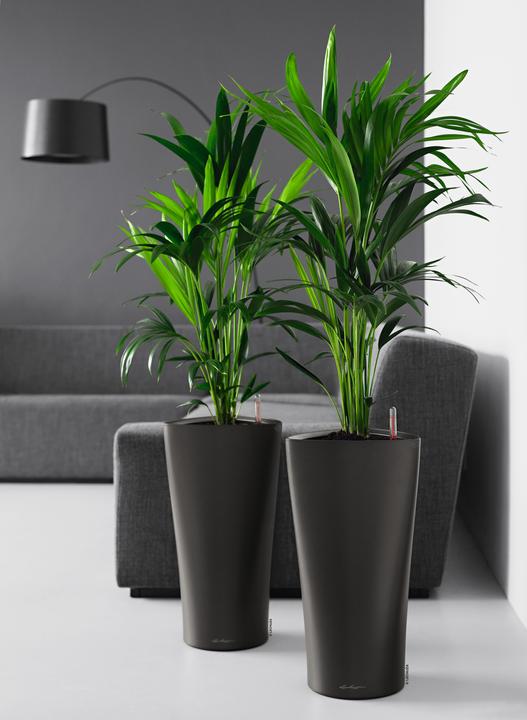 Produktbild Lechuza Delta Gefäss (39 cm)