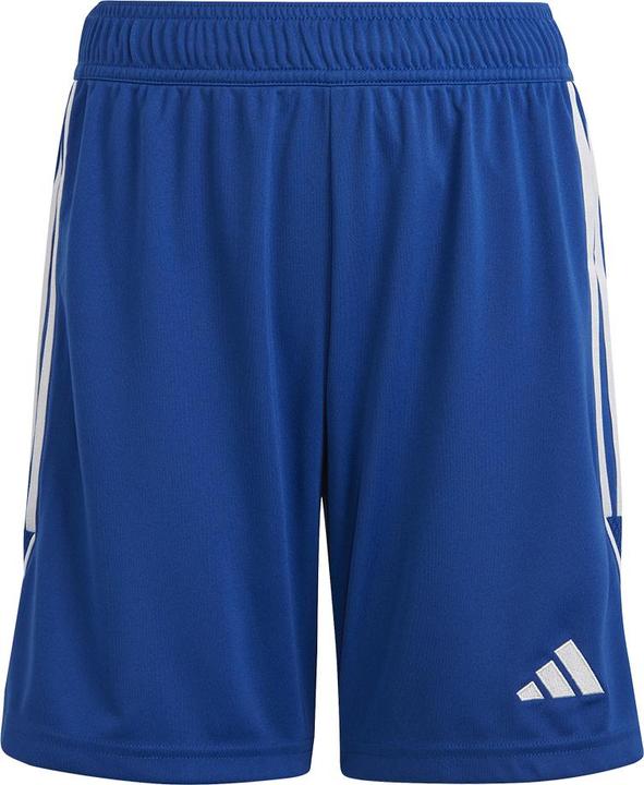 adidas Tiro 23 Trainingsshorts Kinder (176)