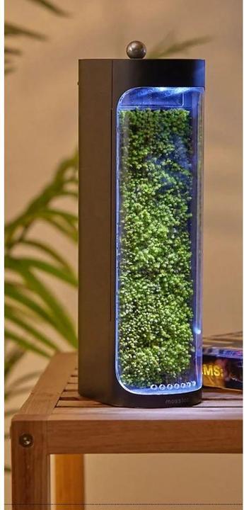 Image du produit Mosslab Air Humidifier Moss black