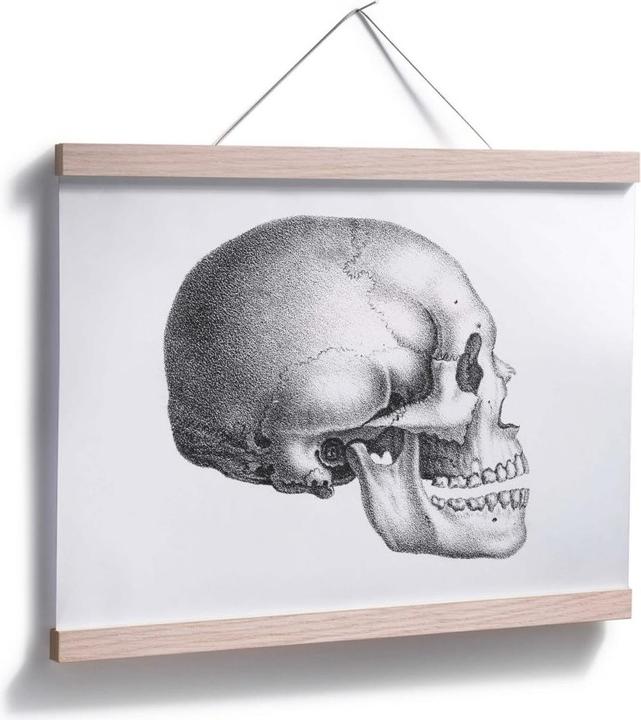Produktbild Trenddeko Totenschädel 01 (30 x 24 cm)
