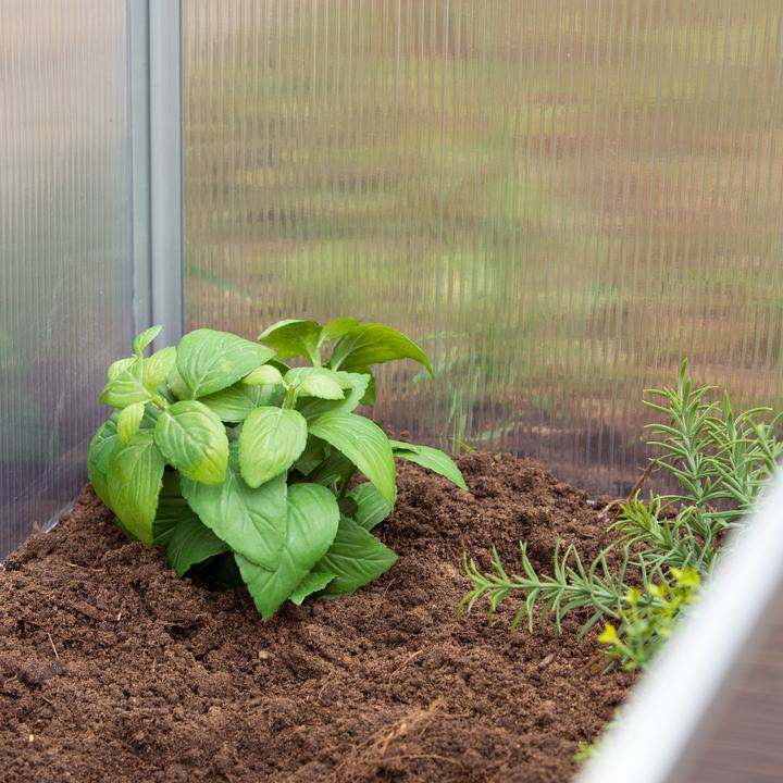 Actual product image Relaxdays Cold Frame