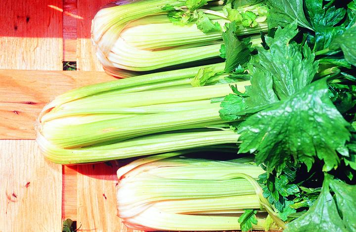 Image du produit Zollinger Bio Céleri à côtes, blanc (Graines de légumes)