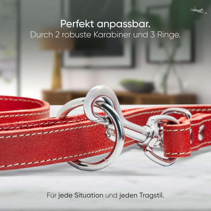 Immagine prodotto Freudentier Verstellbare Hundeleine Amstelpark mit Leinensäckchen (Cane)
