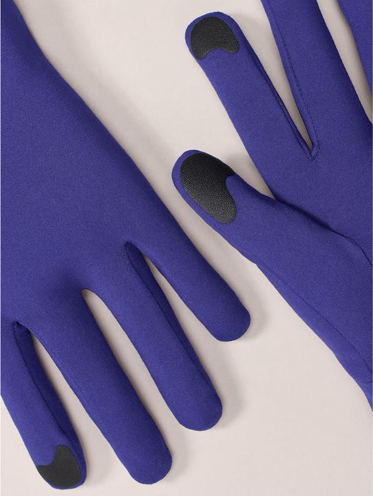 Actual product image Arc'teryx Rho (S)