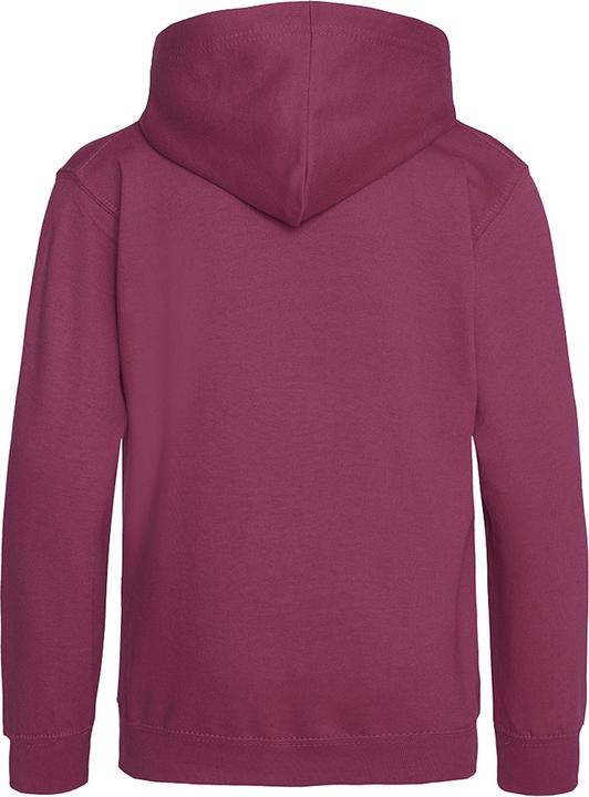 Actual product image Awdis Hooded jumper (146)