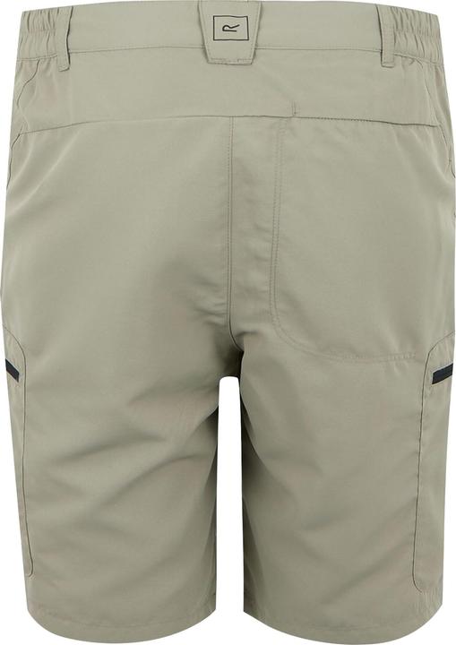 Actual product image Regatta Mens Leesville III Shorts (52 D)