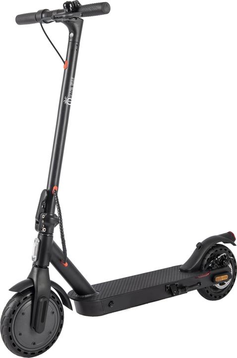 Image du produit Ocean Drive Street Black (20 km/h, 20 km, 250 W)