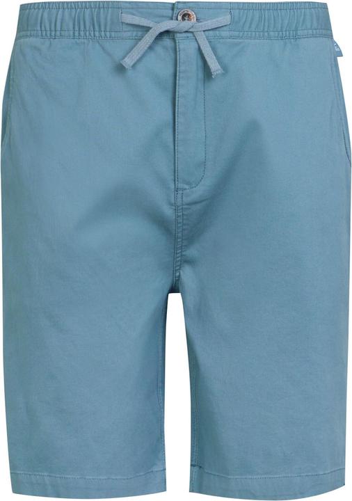 Regatta Aldan Shorts