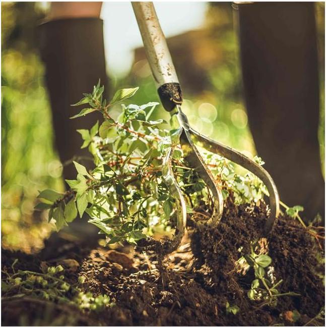 Image du produit Fiskars Coude Xact
