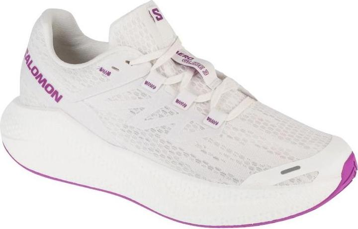 Salomon Aero Glide Laufschuhe (42)