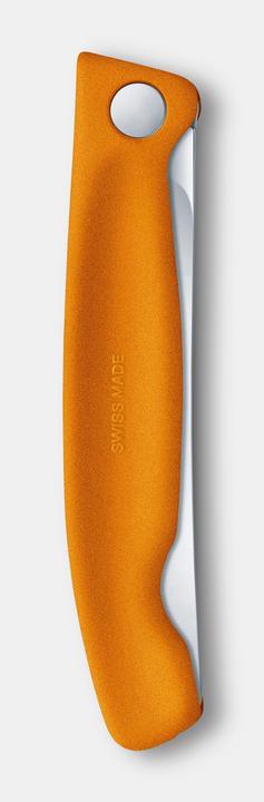 Actual product image Victorinox Swiss Classic (11 cm)