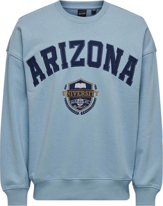 Actual product image Only & Sons Onslawson Life Vintage Crew Neck Sweat (M)