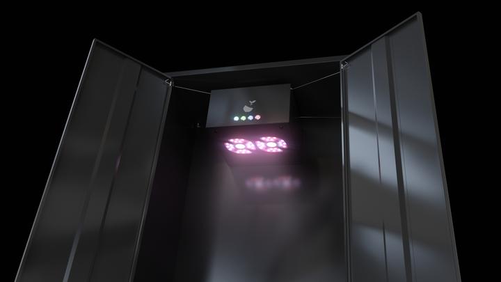 Actual product image Hazelbox Plus