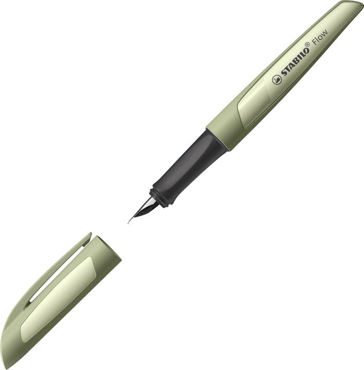 Immagine prodotto STABILO Stilografica Flow monocromatica (Cachi, 1 x)