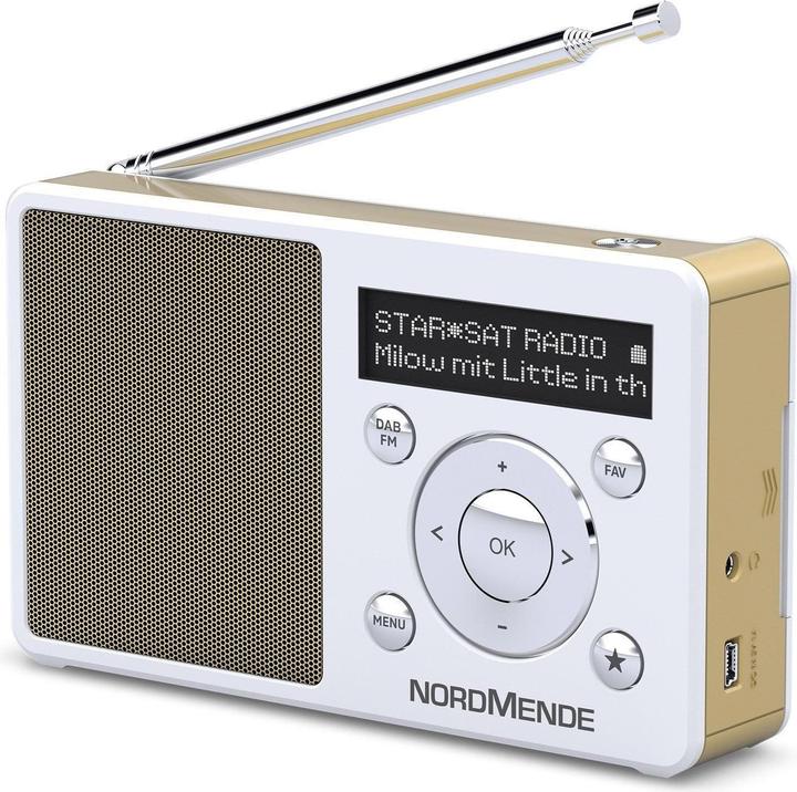 Immagine prodotto Nordmende Transita 100 (FM, DAB)
