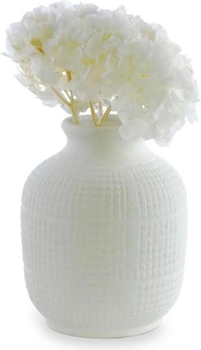 Produktbild Soli Collection Hortensien (Trockenblumen)