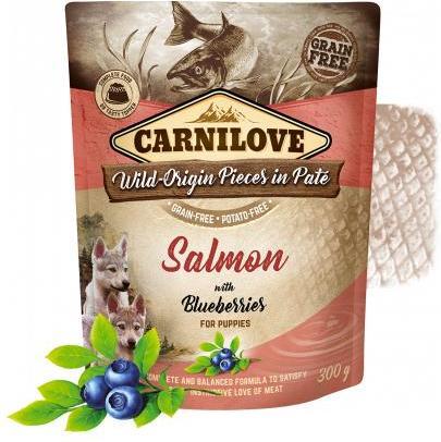 Immagine prodotto Carnilove Cane Cucciolo Pouch Paté Salmone & Mirtilli (Cucciolo + gattino, 1 pz., 300 g)