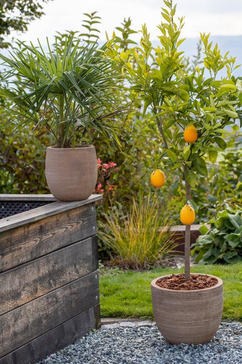 Image du produit Jaco Terracotta Como (36 cm)