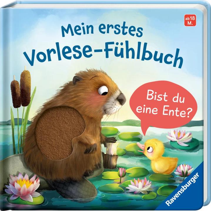 Produktbild Ravensburger Mein erstes Vorlese-Fühlbuch: Bist du eine Ente? (Deutsch)