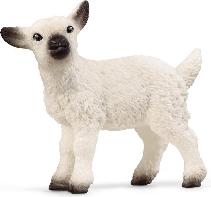 Actual product image Schleich Farm World