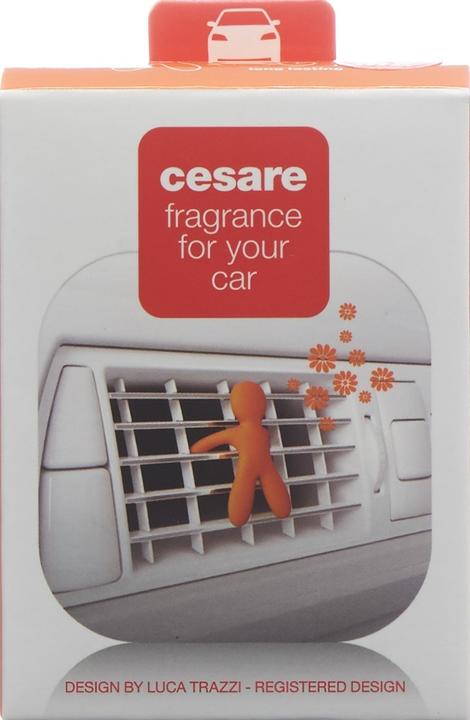 Image du produit Mr & Mrs Fragrance Cesare Énergie