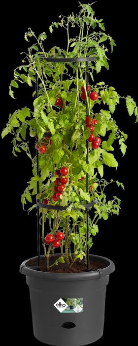 Immagine prodotto Elho Green Basics Pentole per pomodori (33.50 cm)