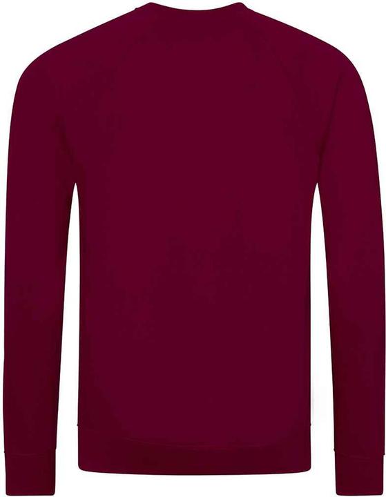 Immagine prodotto Awdis Academy Felpa Raglan Bambini (S)