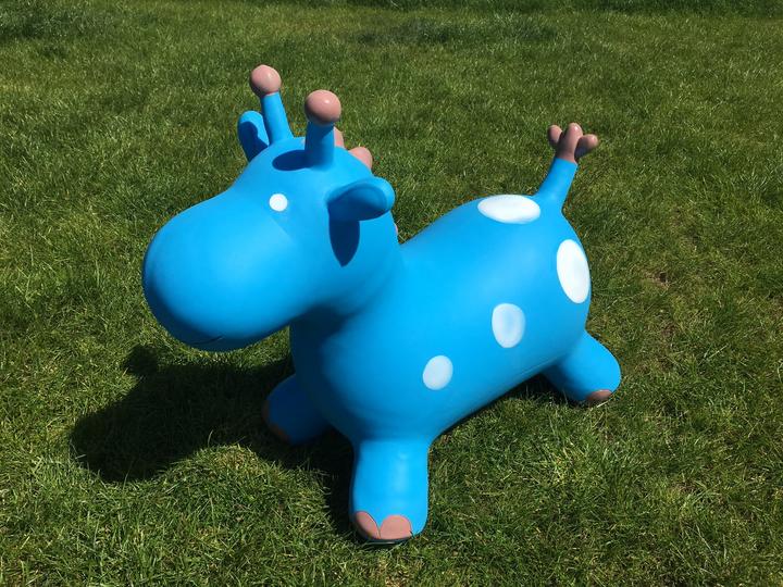 Immagine prodotto Happy Hopperz Giraffa