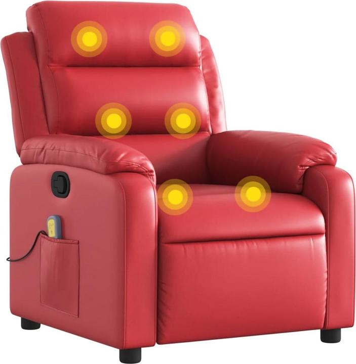 Actual product image VidaXL Festuca novae