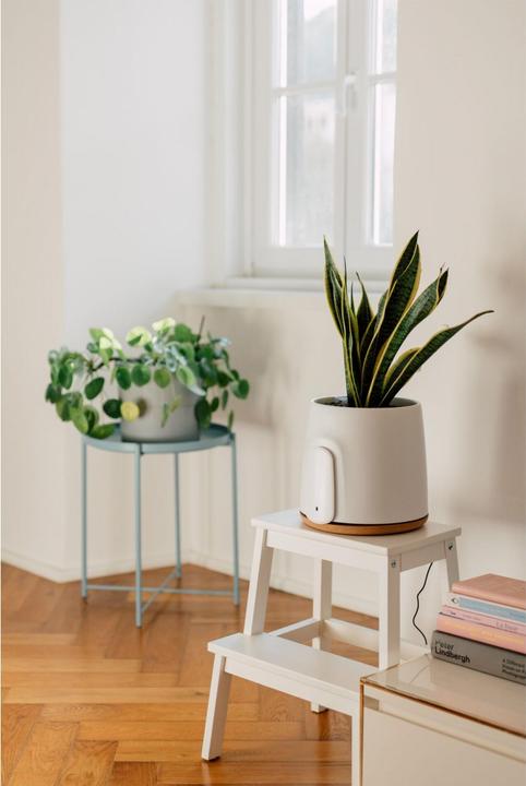 Image du produit Vitesy Natede Basic Natürlicher Luftreiniger (20 m²)