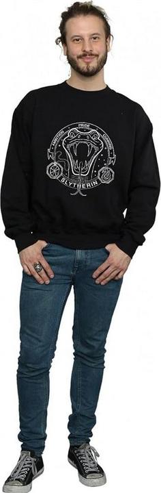 Image du produit Sweat-shirt Slytherin pour hommes (XL)