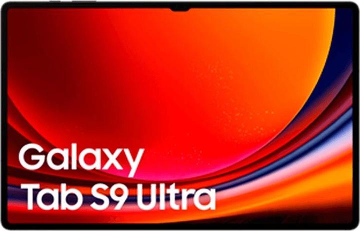 Produktbild Samsung Galaxy Tab S9 Ultra (nur WLAN, 14.60", 1000 GB, Graphite Grey)