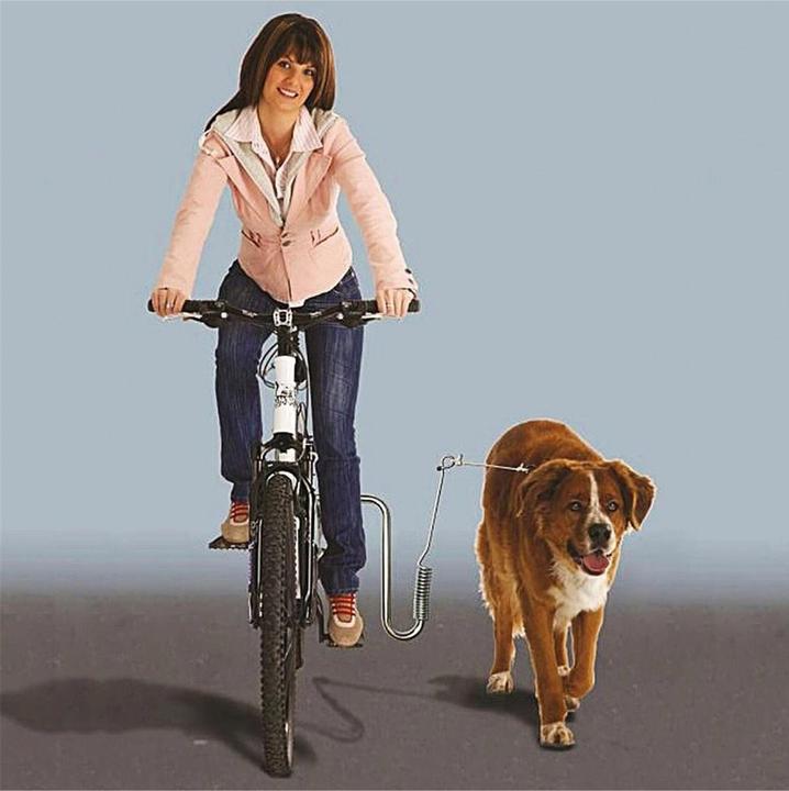 Actual product image Dogrunner Bike holder