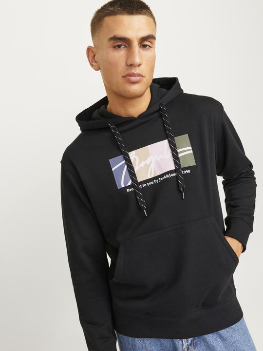 Actual product image Jack & Jones Jorportland Block Sweat Hood Ln (S)
