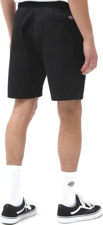 Image du produit Dickies Pelican Rapids Short en tissu - 91859 (L)