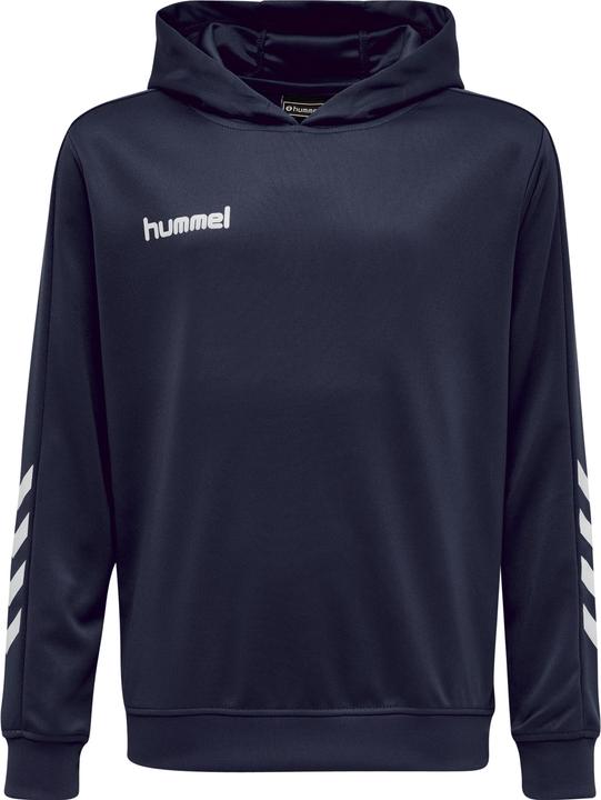 Image du produit hummel Promo Kids Poly Hoodie (152)