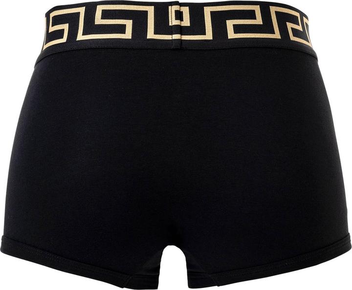 Actual product image Versace Bi-Pack Trunk Jersey Topeka Bi-Stretch Cotton Organic New Logo (S, pack of 2)