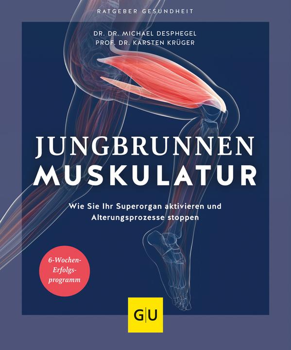 Produktbild Jungbrunnen Muskulatur (Deutsch, Karsten Krüger, Michael Despeghel, 2022)