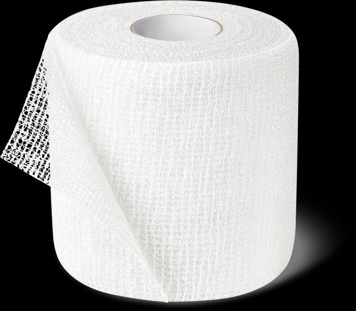 Produktbild DermaPlast CoFix Selbsthaftende Binde