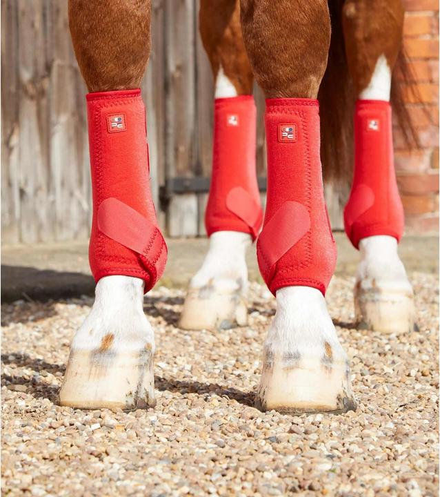 Produktbild Premier Equine gaaschen preier equine air-tech sports edecine