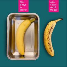 Produktbild Filip & Friends Edelstahl Lunchbox filip®