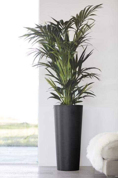 Image du produit Ecopots Amsterdam High (41 cm)