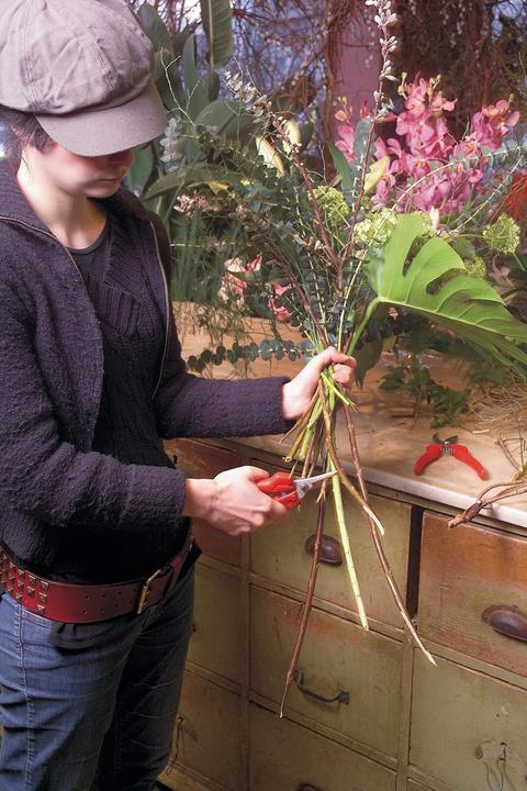 Immagine prodotto Felco forbici per fiori e frutta
