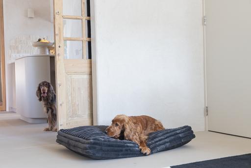 Produktbild Designed by Lotte Liegekissen Reza (Hund)