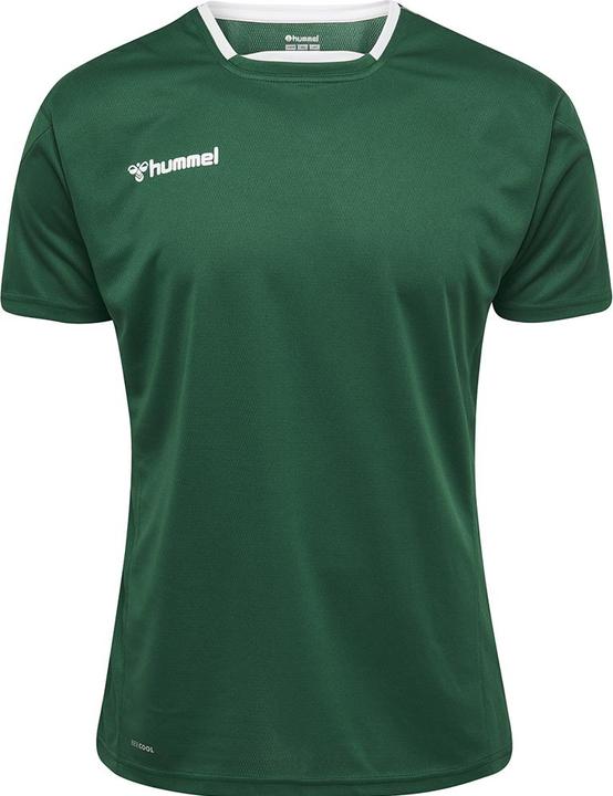 Actual product image hummel Authentic Poly Jersey S/S (S)