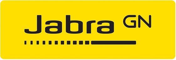 Actual product image Jabra Evolve 65 USB cable