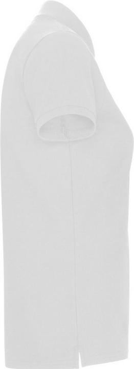 Actual product image Alpinia Womens/Ladies Pegaso Premium Short-Sleeved Polo Shirt (XXL)